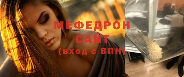 мдпв Богородицк