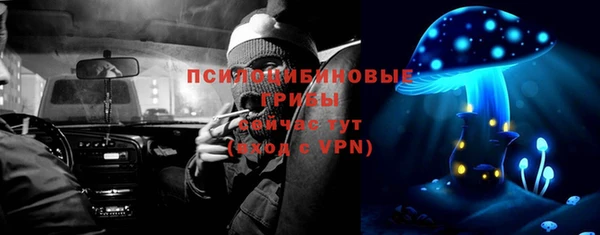 мдпв Богородицк