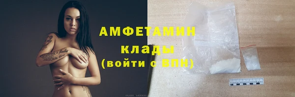 стафф Богданович