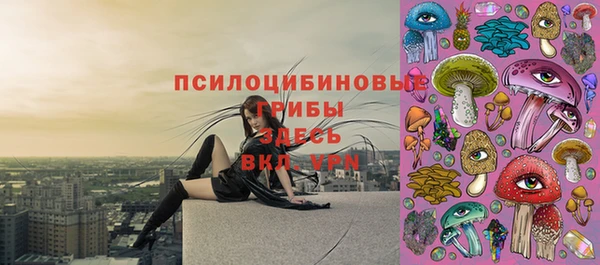 мдпв Богородицк