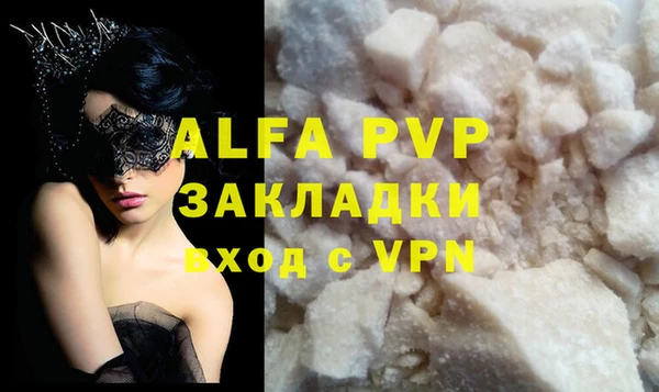 стафф Богданович