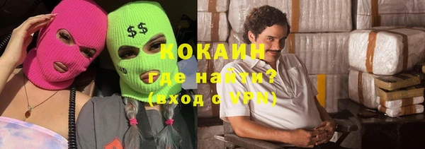 мдпв Богородицк